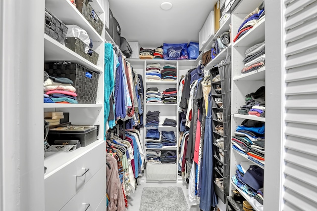 view of spacious closet