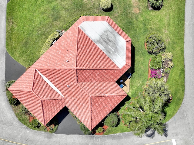 bird's eye view