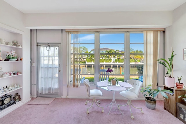 interior space featuring built in shelves, carpet, a water view, and baseboards