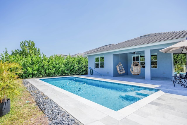 outdoor pool with a patio and ceiling fan