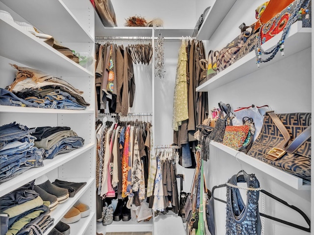 view of walk in closet