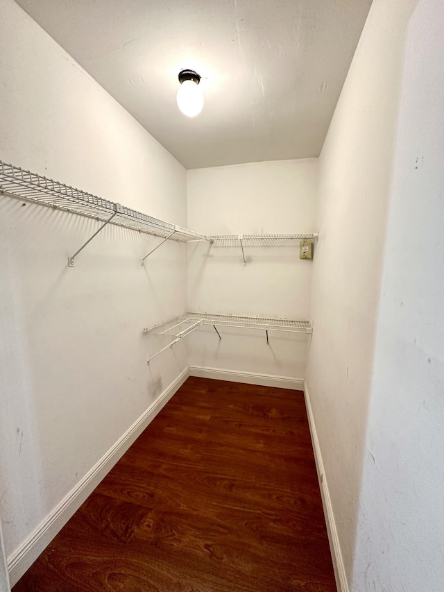 walk in closet featuring wood finished floors