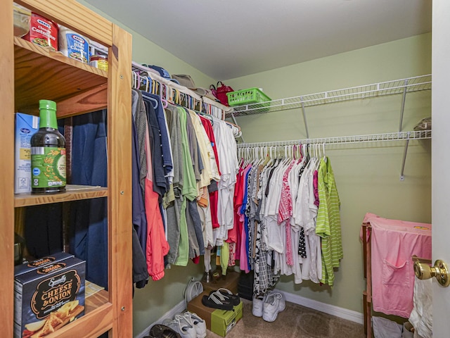 walk in closet with carpet flooring