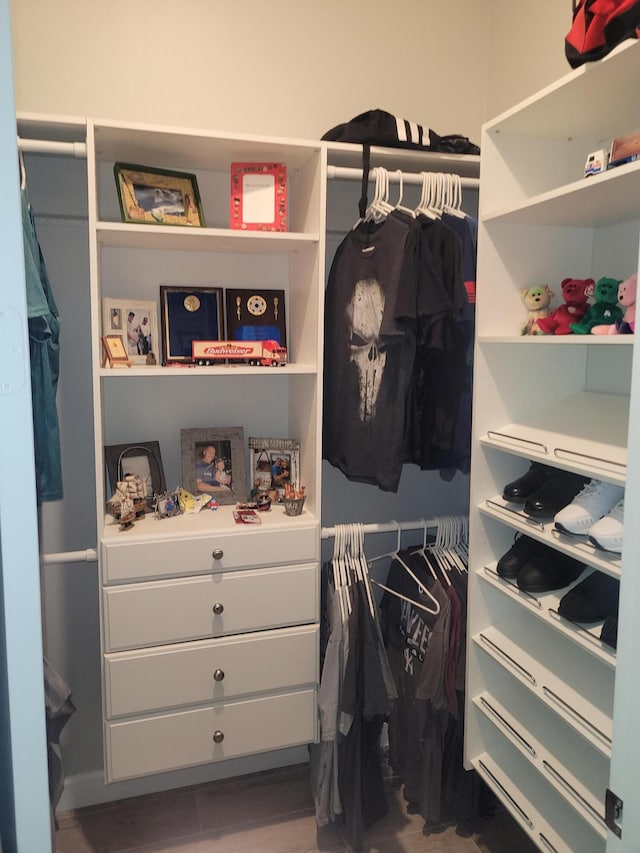 view of spacious closet