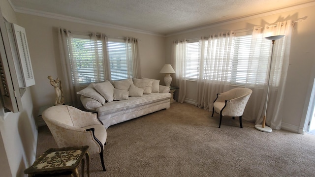 living room featuring crown molding, carpet, and a textured ceiling