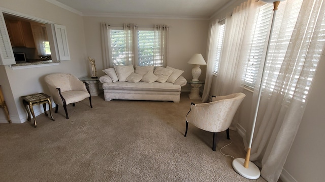 carpeted living room with baseboards and crown molding