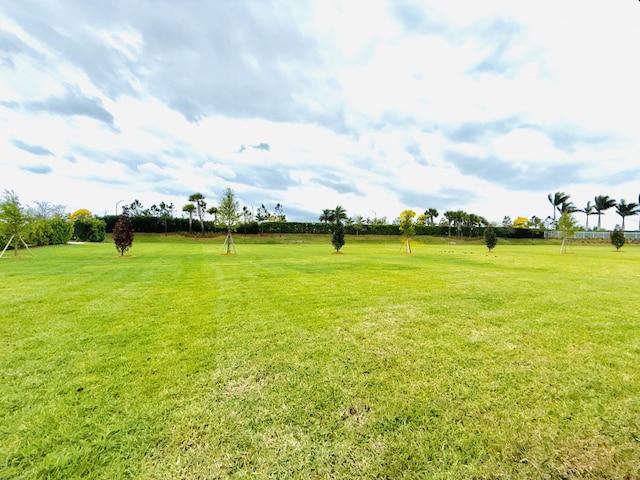 view of yard with a rural view