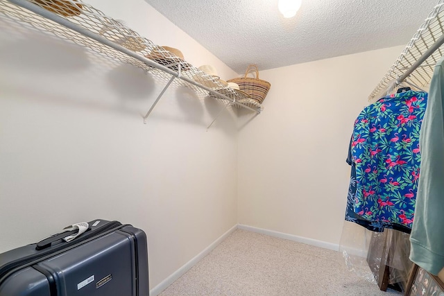 walk in closet featuring carpet floors