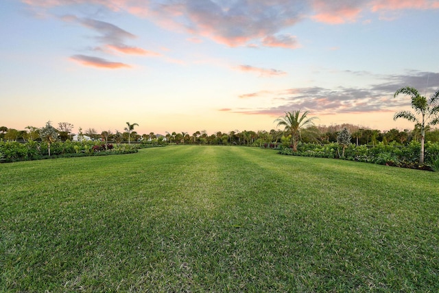 20017 SE Bridgewater Dr, Jupiter, FL 33458 - yard at dusk with a lawn