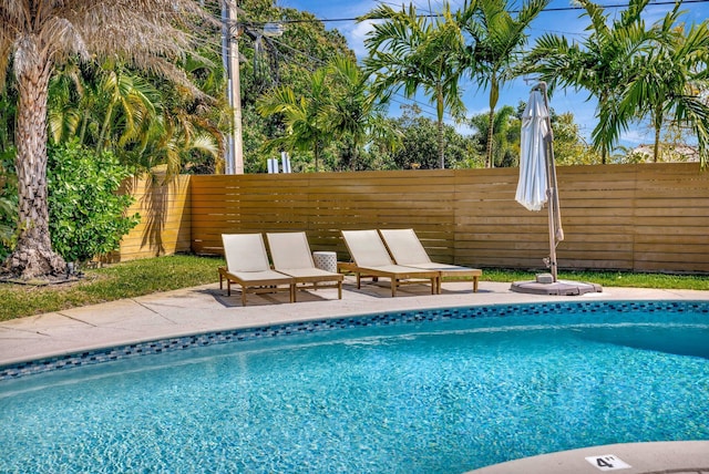 view of swimming pool featuring a patio area, a fenced backyard, and a fenced in pool