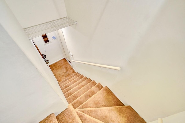 staircase with carpet flooring