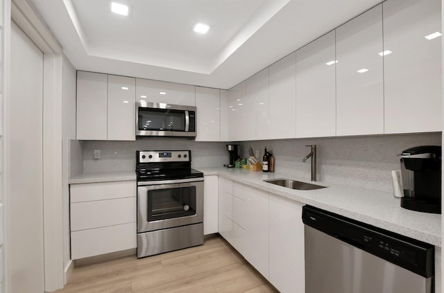 kitchen featuring modern cabinets, a sink, a tray ceiling, white cabinetry, and stainless steel appliances