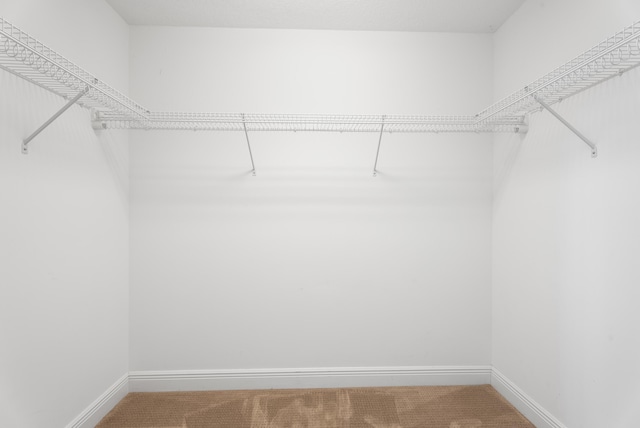 walk in closet featuring carpet