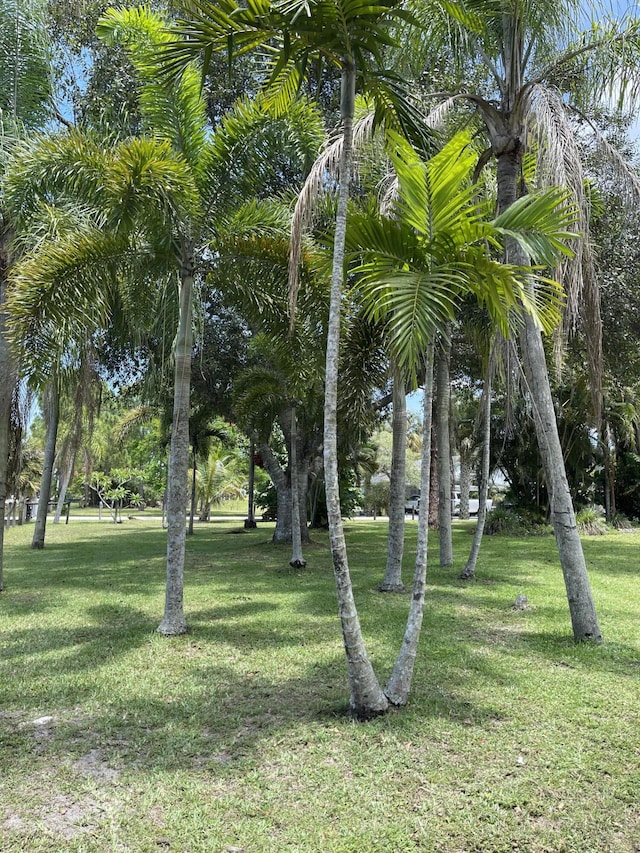 surrounding community featuring a lawn