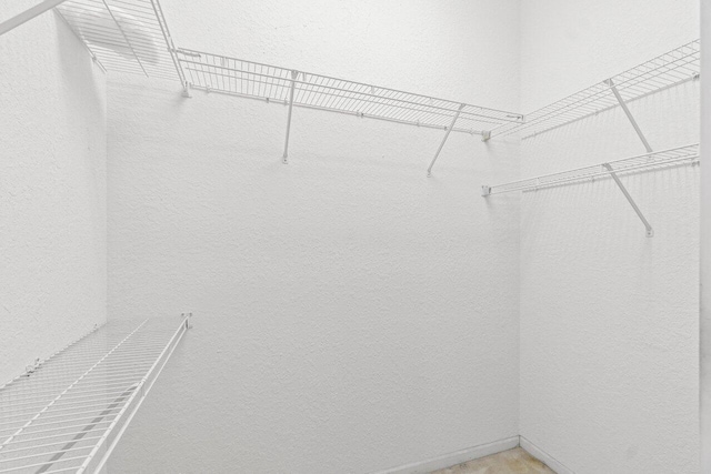 view of walk in closet