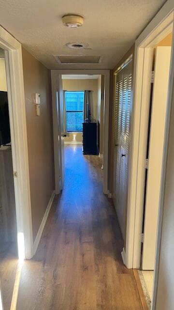 1732 W Sanderling Ln Unit 1, Fort Pierce, FL 34982 - hallway with wood finished floors, healthy amount of natural light, and baseboards