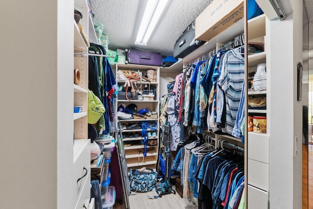 walk in closet with wood finished floors