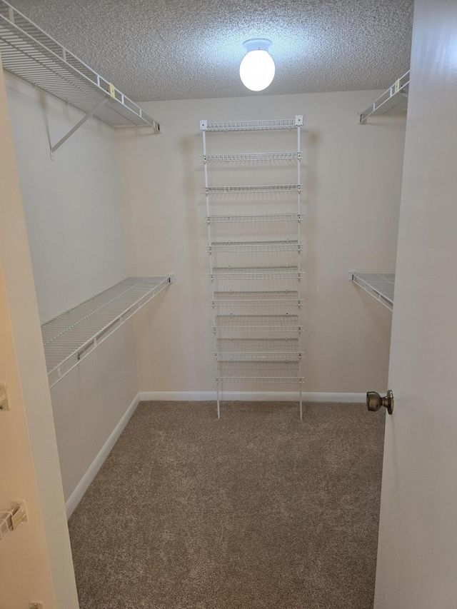 spacious closet with carpet floors