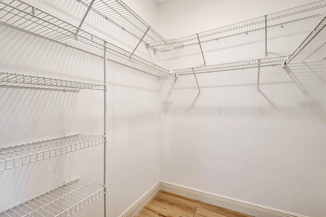 spacious closet featuring light wood-style flooring