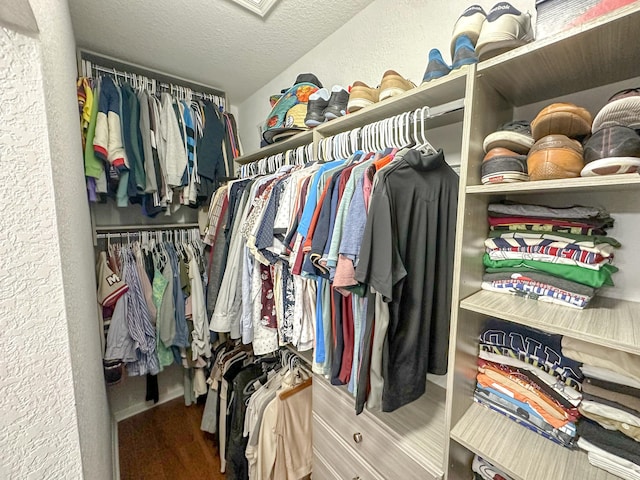 view of walk in closet