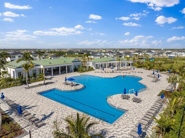 pool with a residential view and a patio