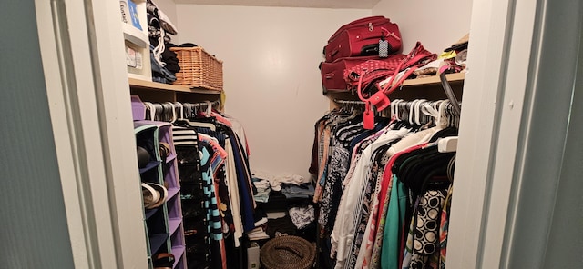 view of spacious closet