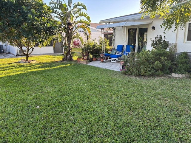 view of yard featuring a patio area