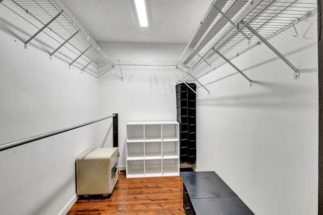 spacious closet featuring wood finished floors