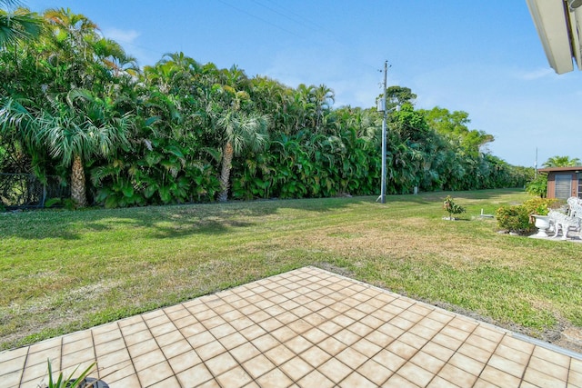 view of yard with a patio