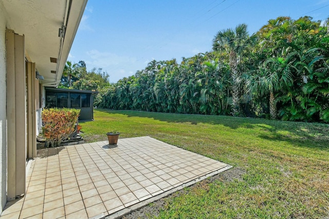 view of yard featuring a patio area