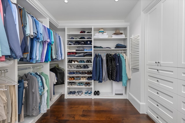 walk in closet with dark wood-style flooring