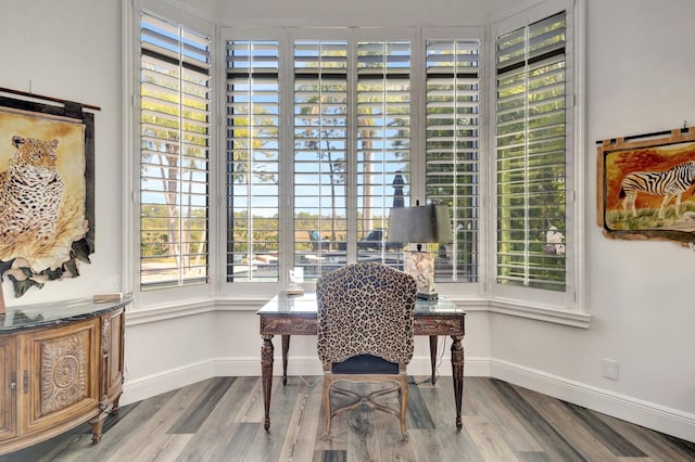 office featuring baseboards and wood finished floors