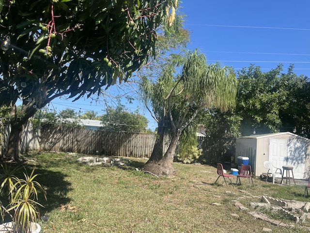 view of yard featuring a storage unit, an outdoor structure, and fence