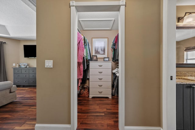 walk in closet with dark wood finished floors