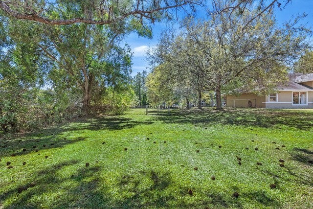 view of yard