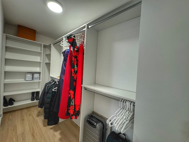 spacious closet featuring wood finished floors