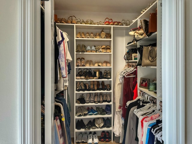 view of walk in closet