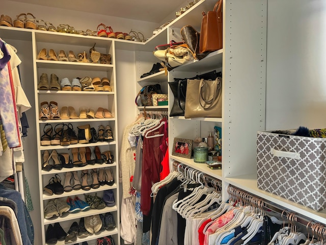 view of spacious closet