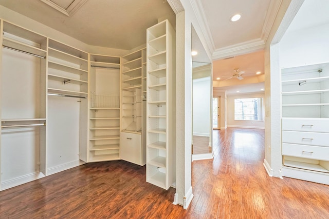 spacious closet with ceiling fan and wood finished floors