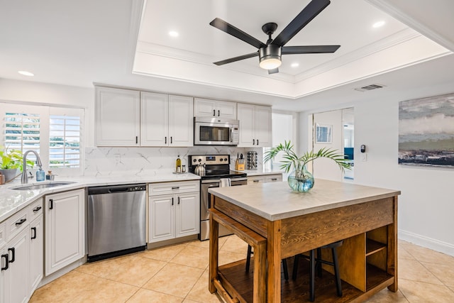 kitchen with crown molding, decorative backsplash, appliances with stainless steel finishes, a raised ceiling, and a sink