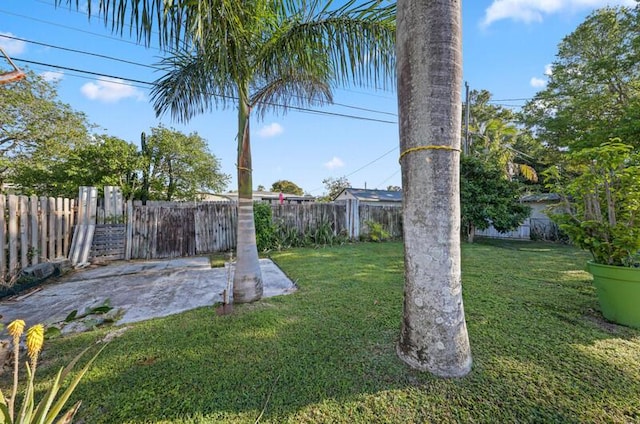 view of yard featuring a fenced backyard and a patio area