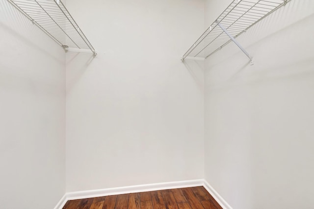 walk in closet featuring wood finished floors