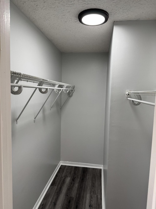 walk in closet with dark wood-type flooring