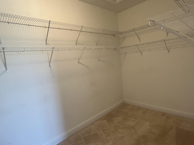 view of walk in closet