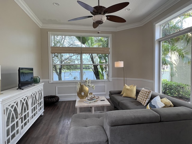 living room with dark wood-style floors, a wainscoted wall, crown molding, and a ceiling fan