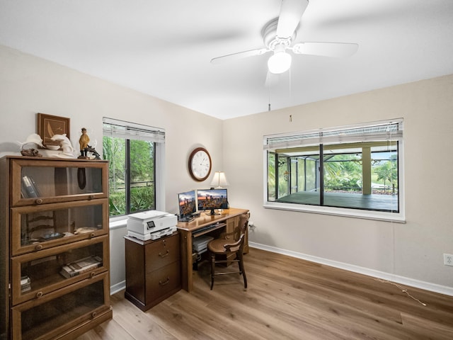 home office featuring ceiling fan, light wood-type flooring, and baseboards