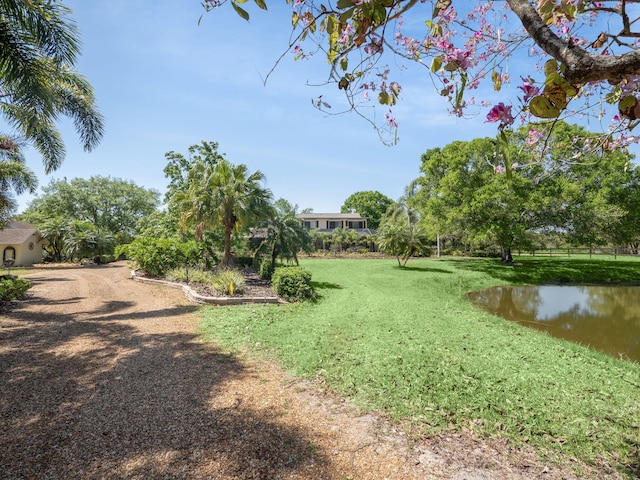 view of yard with a water view