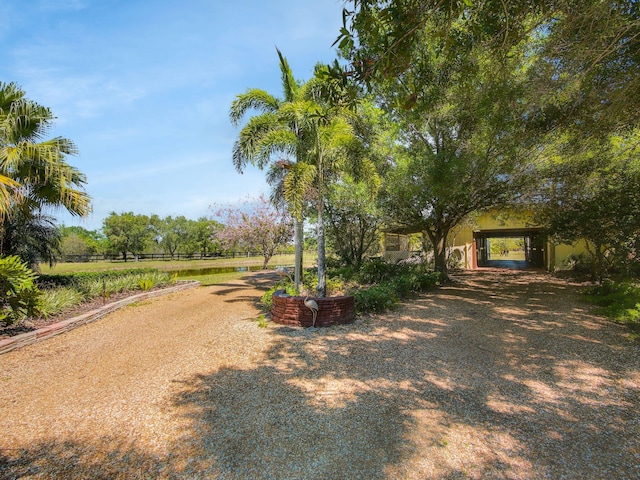 view of yard with an attached carport and dirt driveway