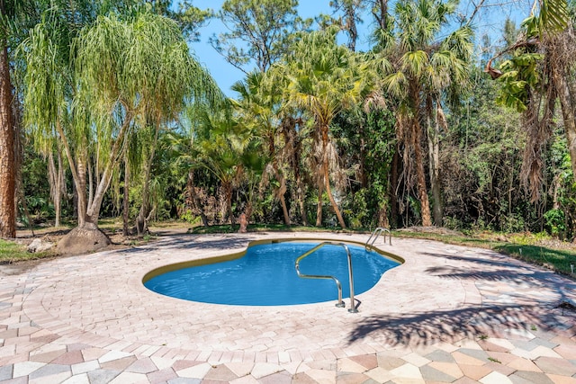 pool with a patio area