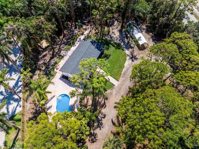 aerial view of a pool